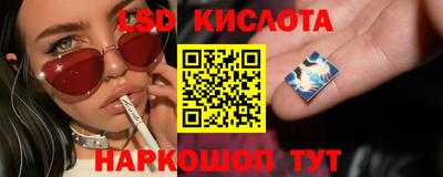spice Кунгур