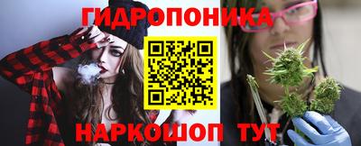 spice Кунгур