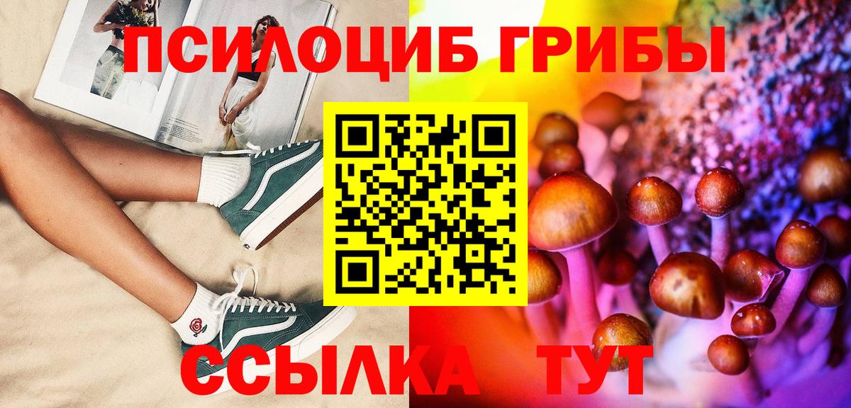 Галлюциногенные грибы Psilocybe Иркутск